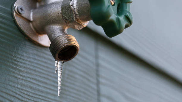 Best Sewer Line Repair  in Perry, UT